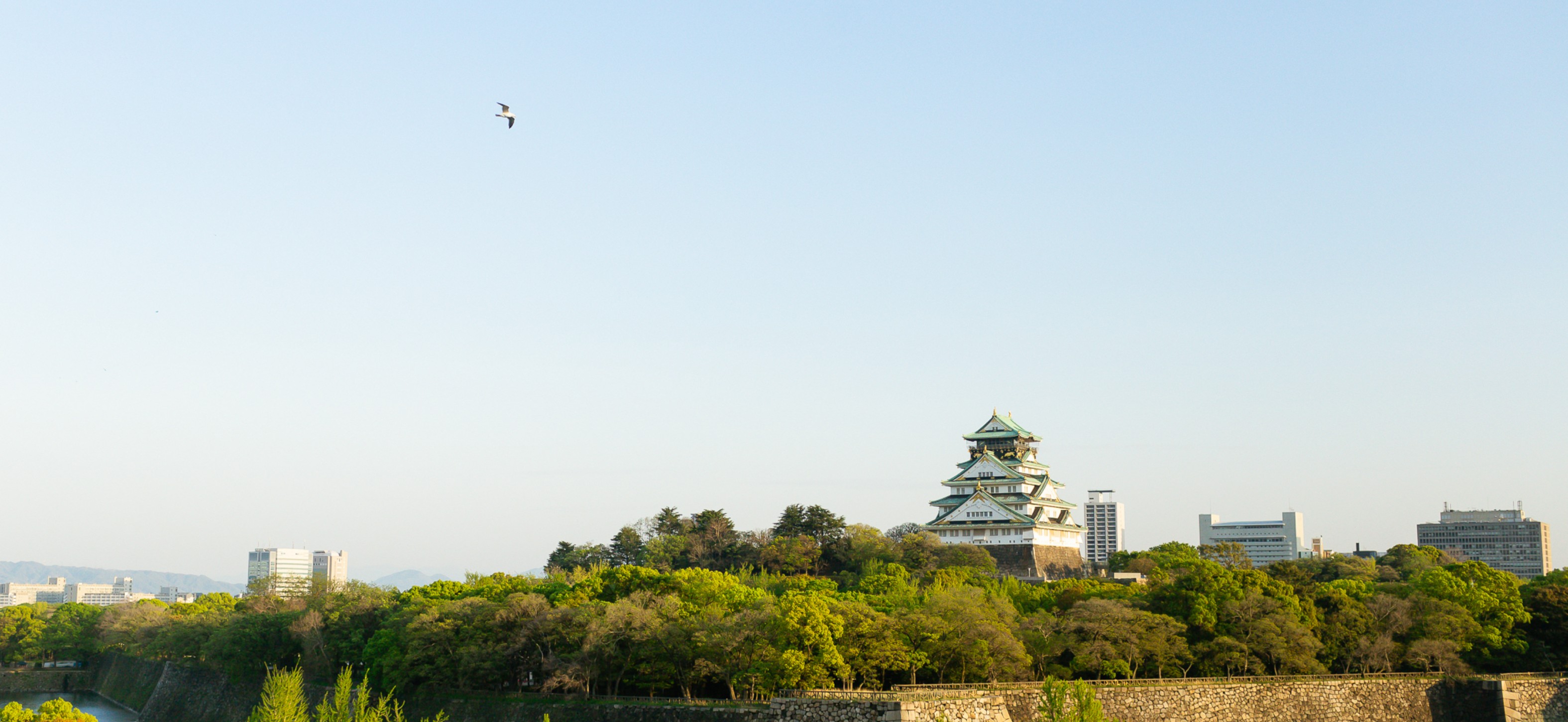 大阪城公園